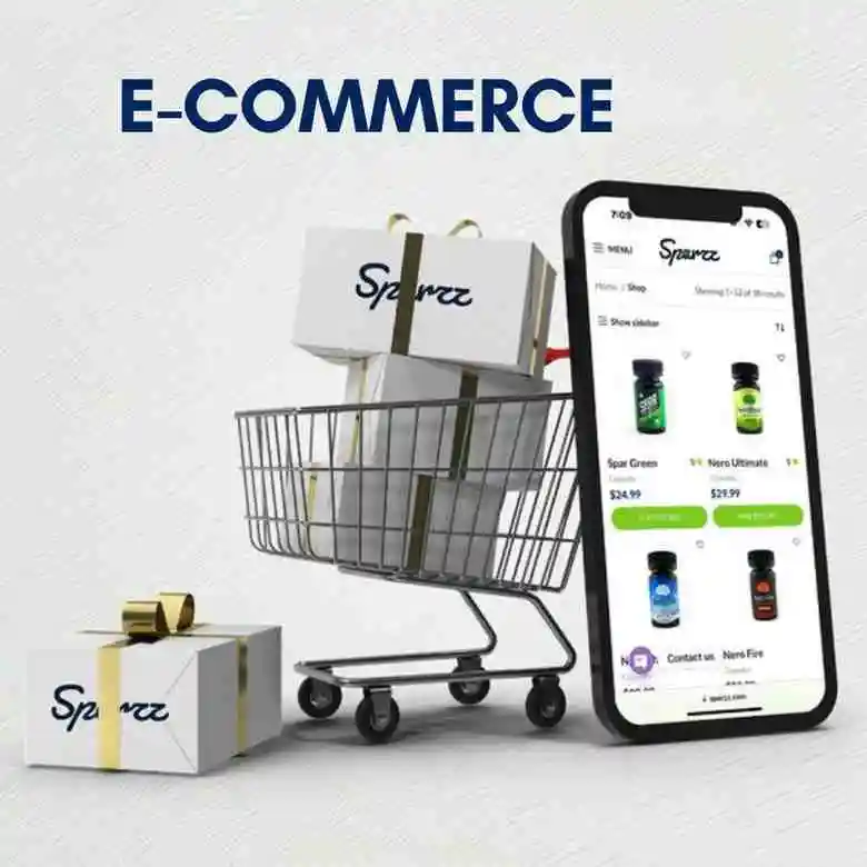 Ecommerce Illustration