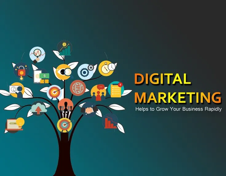 Digital Marketing Agency Noida